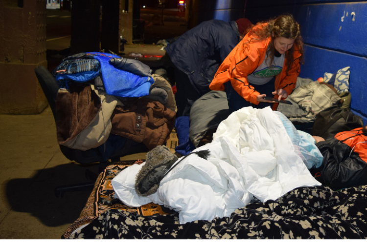 Volunteer performing the PIT Count